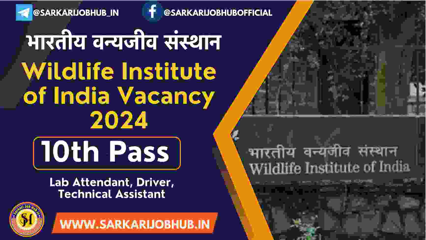 Wildlife Institute of India Recruitment 2024